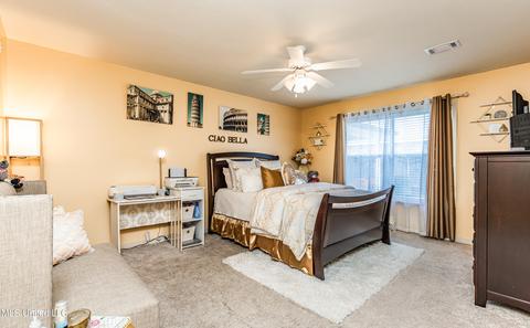 164 Blackstone Cir, Brandon, MS 39047 photo 20