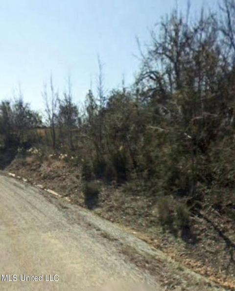 1046 72 County Rd, Myrtle, MS 38650 photo 1