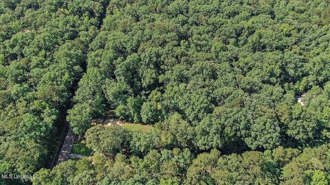 716 Mullican Road Rd, Florence, MS 39073 photo 55