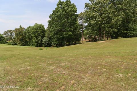 231 Summer Oak Dr, Lamar, MS 38642 photo 26