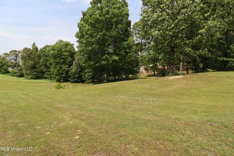 231 Summer Oak Dr, Lamar, MS 38642 photo 25
