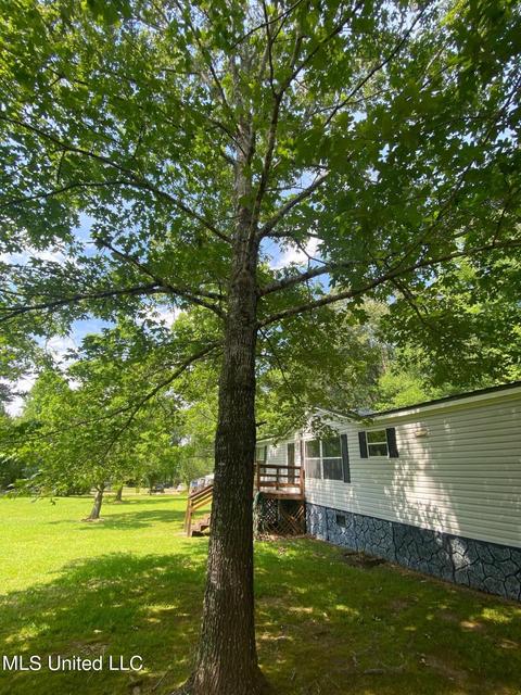 110 Burton Dr, Florence, MS 39073 photo 14