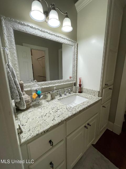 404 Locust Cv, Madison, MS 39110 photo 42