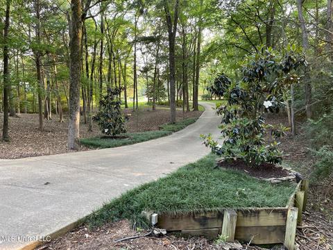 404 Locust Cv, Madison, MS 39110 photo 55