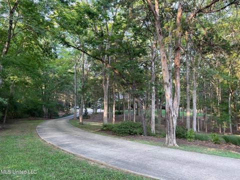 404 Locust Cv, Madison, MS 39110 photo 3