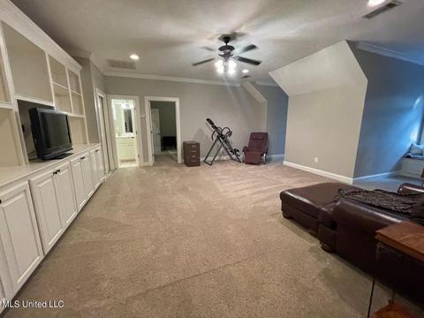 404 Locust Cv, Madison, MS 39110 photo 47