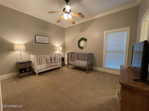 404 Locust Cv, Madison, MS 39110 photo 40