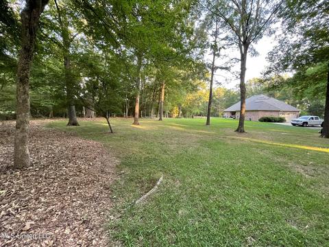 404 Locust Cv, Madison, MS 39110 photo 9
