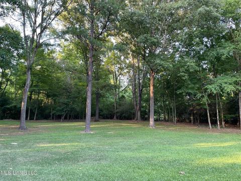 404 Locust Cv, Madison, MS 39110 photo 10