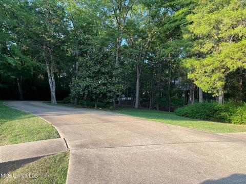 404 Locust Cv, Madison, MS 39110 photo 2