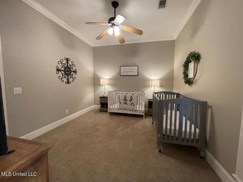 404 Locust Cv, Madison, MS 39110 photo 39