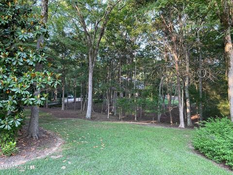 404 Locust Cv, Madison, MS 39110 photo 5