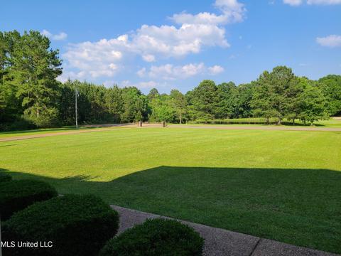 130 Maxwell Cv, Terry, MS 39170 photo 7