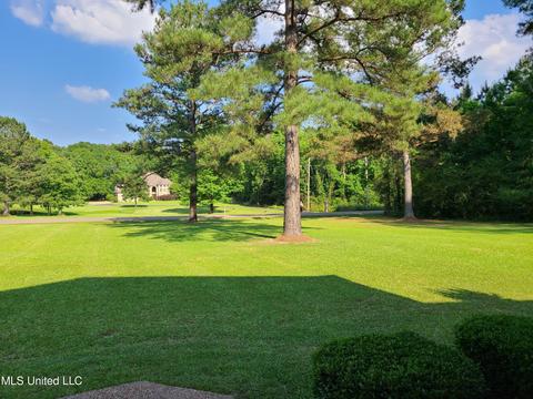 130 Maxwell Cv, Terry, MS 39170 photo 6