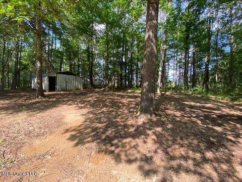 138 Collier Ln, Florence, MS 39073 photo 22