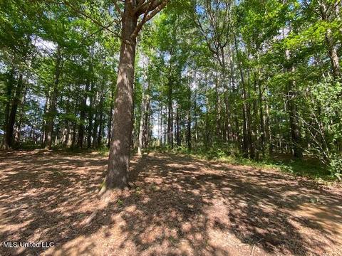 138 Collier Ln, Florence, MS 39073 photo 24
