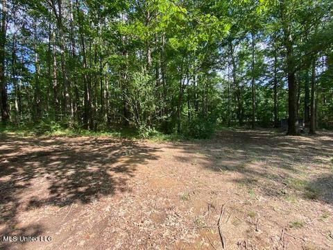 138 Collier Ln, Florence, MS 39073 photo 23