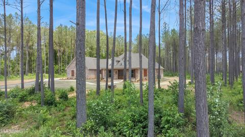 699 Stull Rd, Brandon, MS 39047 photo 8