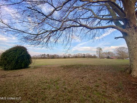226 C Stringer Rd, Magee, MS 39111 photo 5
