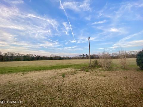 226 C Stringer Rd, Magee, MS 39111 photo 3