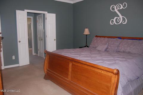 3690 Shelby Cv, Hernando, MS 38632 photo 11