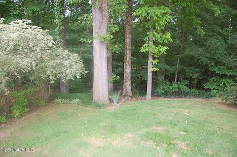 3690 Shelby Cv, Hernando, MS 38632 photo 20