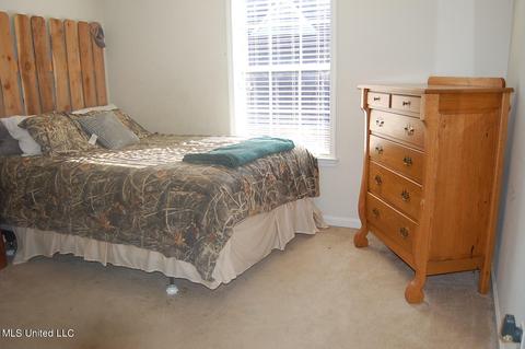 3690 Shelby Cv, Hernando, MS 38632 photo 14