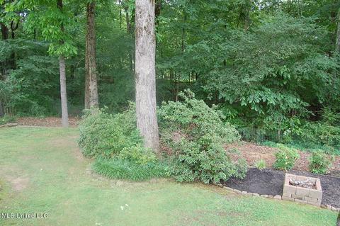 3690 Shelby Cv, Hernando, MS 38632 photo 19