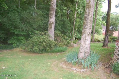 3690 Shelby Cv, Hernando, MS 38632 photo 21