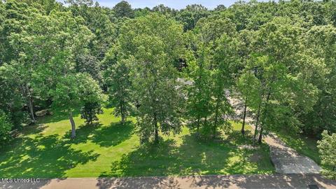 121 Windsor Blvd, Brandon, MS 39042 photo 53