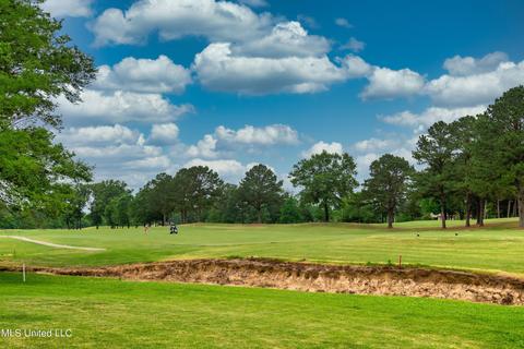 562 S Deerfield Dr, Canton, MS 39046 photo 22
