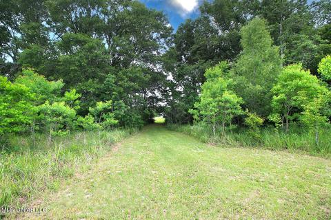 25018 Yellow Bluff Rd, Lucedale, MS 39452 photo 45