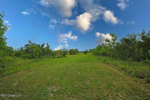 25018 Yellow Bluff Rd, Lucedale, MS 39452 photo 48
