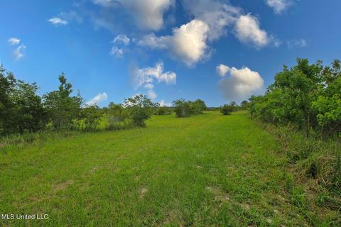 25018 Yellow Bluff Rd, Lucedale, MS 39452 photo 47