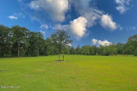 25018 Yellow Bluff Rd, Lucedale, MS 39452 photo 43