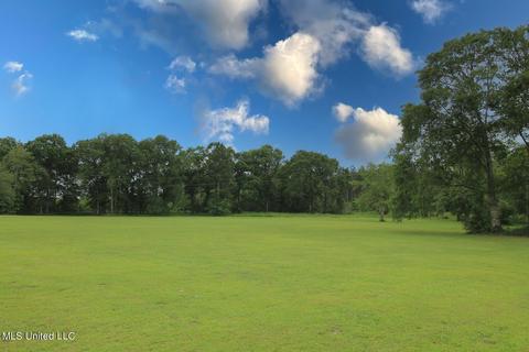 25018 Yellow Bluff Rd, Lucedale, MS 39452 photo 46