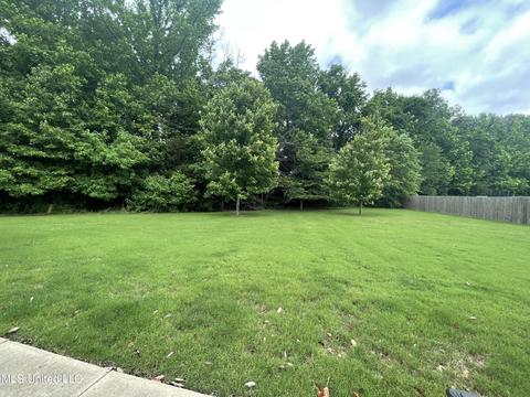 3353 Scott Rd, Hernando, MS 38632 photo 12