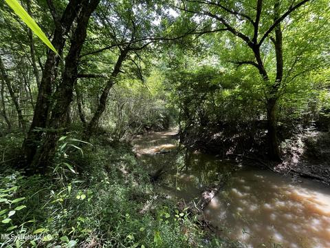 Fleming Road, Pelahatchie, MS 39145