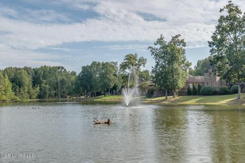 4624 Eiffel Ln, Nesbit, MS 38651 photo 32
