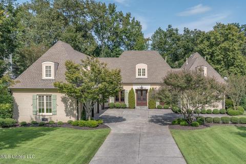 4624 Eiffel Ln, Nesbit, MS 38651 photo 1