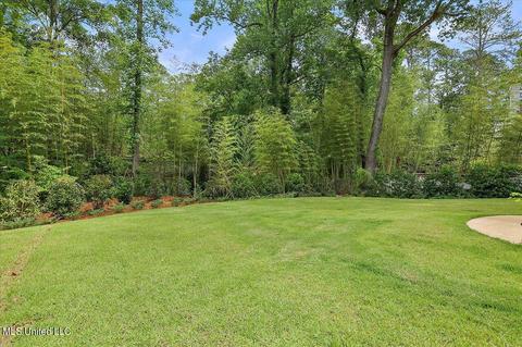 300 Sherborne Pl, Flowood, MS 39232 photo 67
