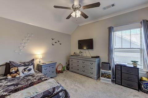 804 Long Leaf Cir, Brandon, MS 39042 photo 31