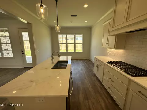 108 Sweetbriar Ct, Canton, MS 39046 photo 9