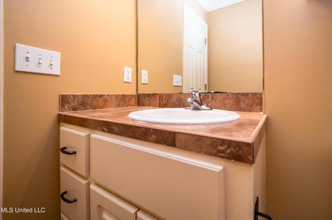 412 Ryan Dr, Brandon, MS 39047 photo 19