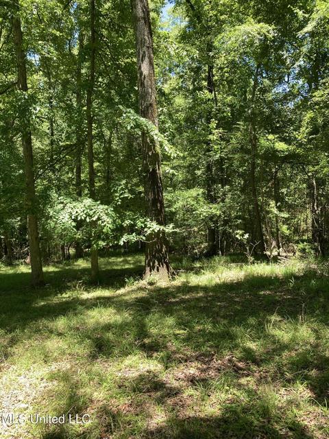1047 Lyles Ln, Raymond, MS 39154 photo 20