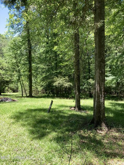 1047 Lyles Ln, Raymond, MS 39154 photo 21