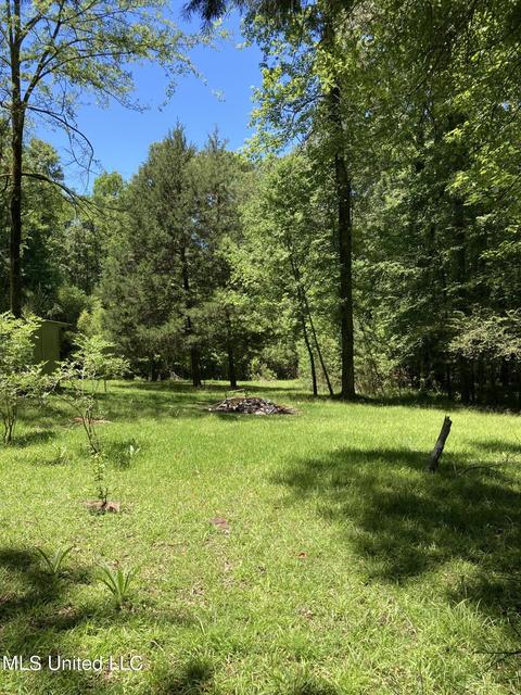 1047 Lyles Ln, Raymond, MS 39154 photo 19