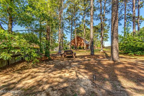 218 Crescent Ct, Brandon, MS 39047 photo 4