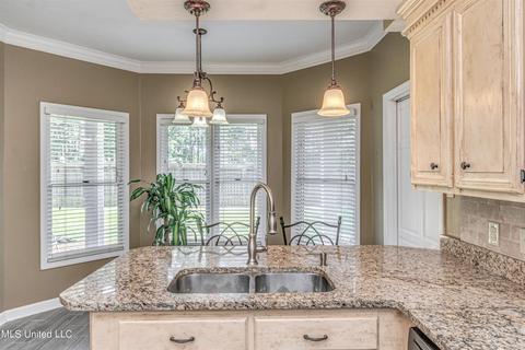 218 Crescent Ct, Brandon, MS 39047 photo 20