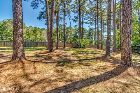 218 Crescent Ct, Brandon, MS 39047 photo 30